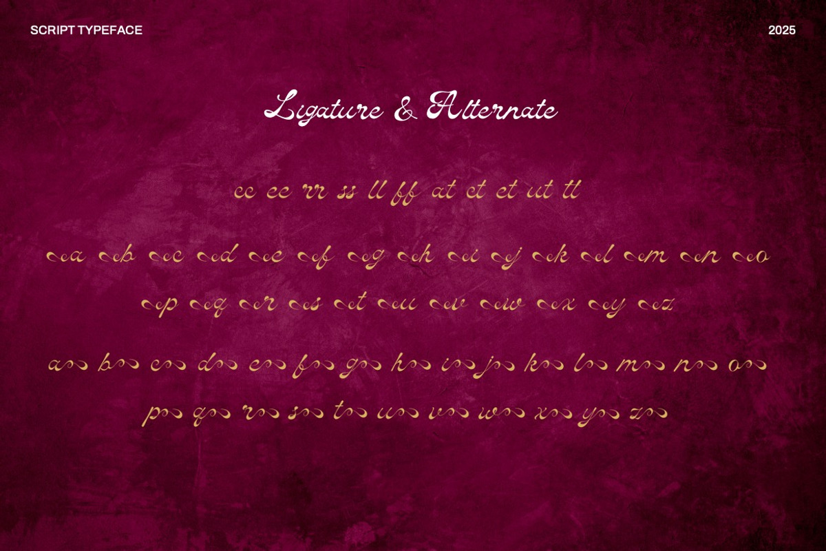 Fatuy Slawt - Casual Script Font, a Script Font by Dhabee (Photo 3 of 15)
