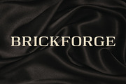 Brickforge Square Serif Display Font, a Serif Font by Voleshads (Thumbnail 9 of 10)