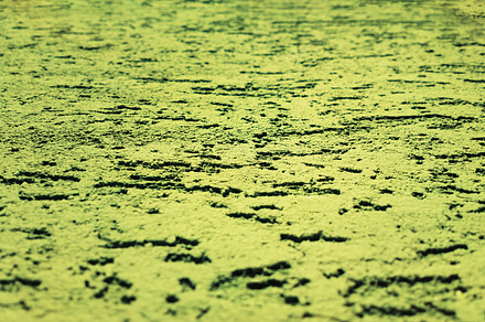 Abstract pitted moon surface texture background, an Abstract Photo by RETROWAVE '88
