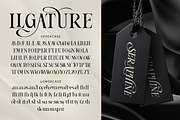 Sunnydew, a Serif Font by Burntilldead (Thumbnail 6 of 11)