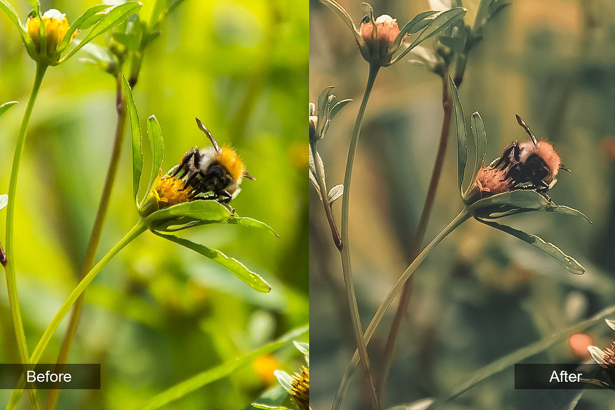Nature Preset Pack 4, a Preset Add-On by MadeRed (Photo 5 of 11)