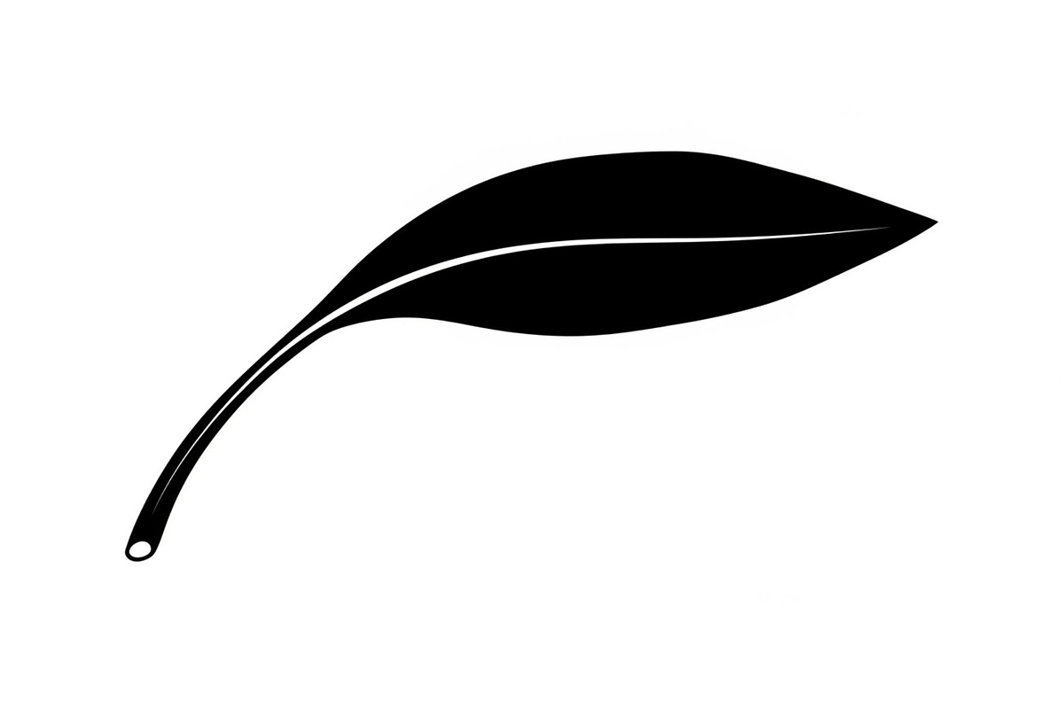 Hand Drawn Leaf Line Art Bundle, an Illustration by hafijul (Photo 16 of 51)