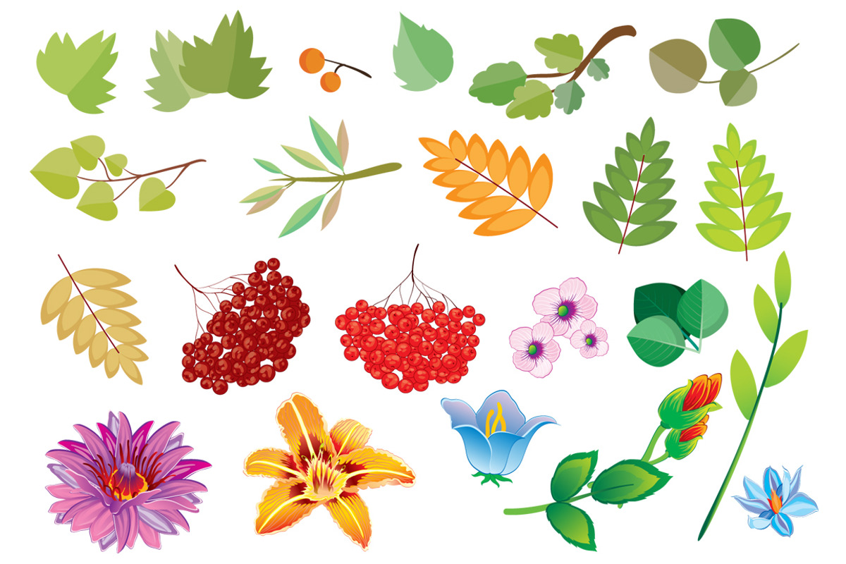 Bird vector set, an Illustration by Kopirin (Photo 8 of 8)