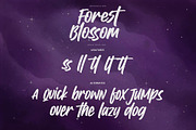 Forrest Blossom – Quick Brush Font, a Handwritten Font by Gassstype (Thumbnail 7 of 8)