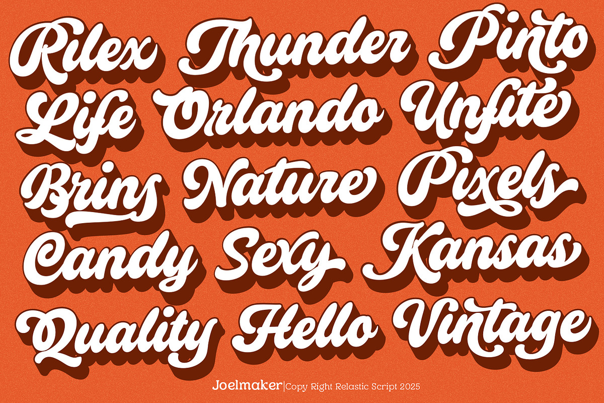 Relastic Script, a Script Font by joelmaker (Photo 15 of 18)