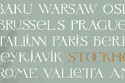 Letterature ligature serif font, a Serif Font by kaer_shop (Thumbnail 3 of 12)