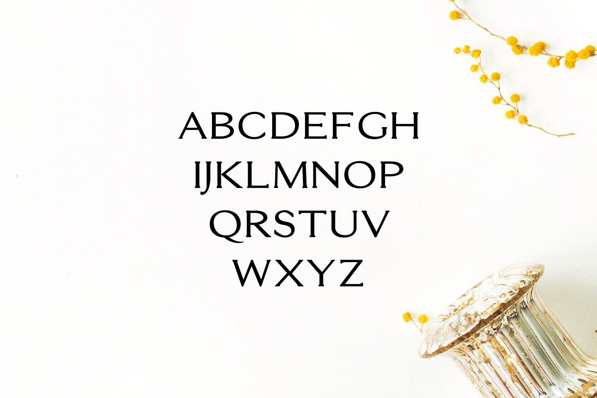 Erynn Serif Font preview 2