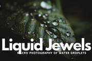 Liquid Jewels – Macro Photography, a Nature Photo by Virgo Studio (Thumbnail 1 of 6)