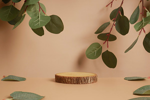 Wood podium with green leaves