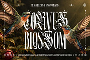 Flora Branch Typeface, a Blackletter Font by alit design (Thumbnail 3 of 20)