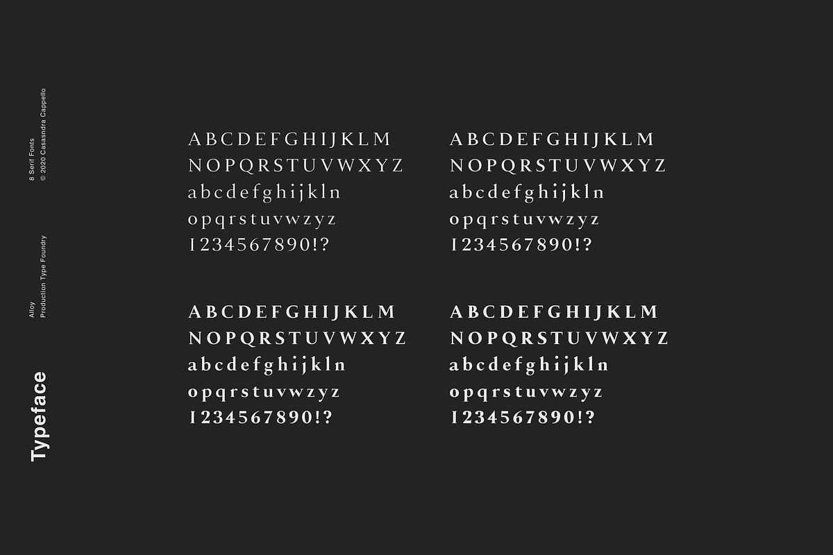 Alloy - A Sharp Serif Typeface, a Serif Font by Cassandra Cappello (Photo 6 of 7)