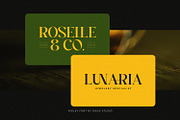 Ridley, a Serif Font by Dikas Studio (Thumbnail 8 of 10)
