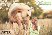 Soft Pastels Lightroom Preset, an Action Add-On by The Bell Sisters (Thumbnail 3 of 7)