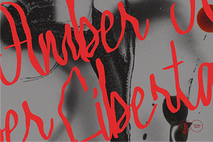 Amber Liberta, a Handwritten Font by Tyedge Studio