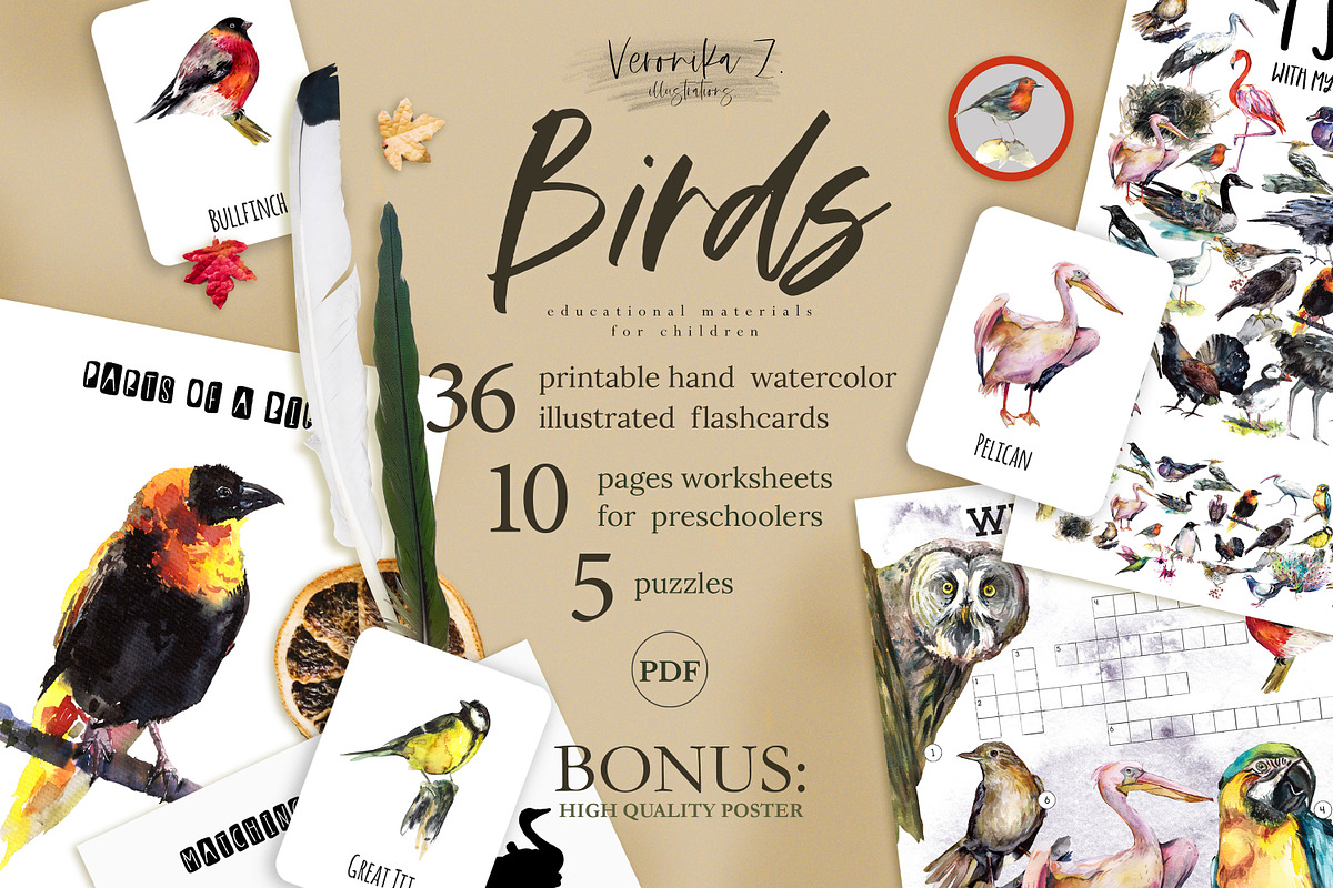 Birds activities for kids, an Animal Illustration by ArtSpotVeronika (Photo 1 of 6)