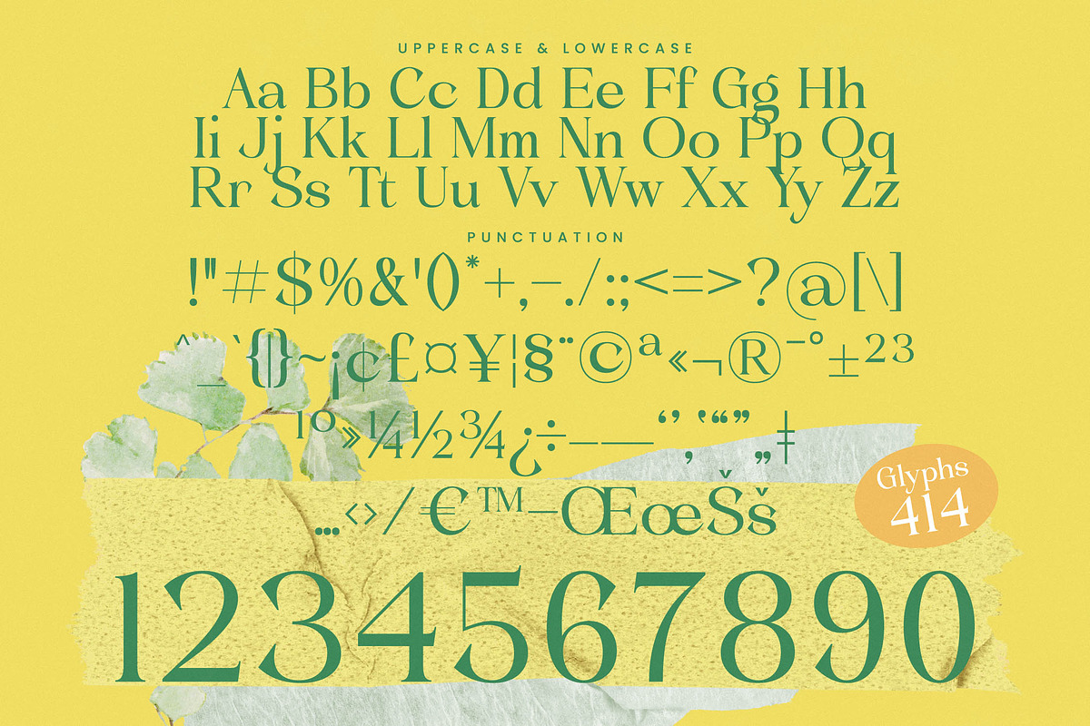 Blush Honey Modern Serif Font, a Serif Font by timelesstype.co (Photo 18 of 20)