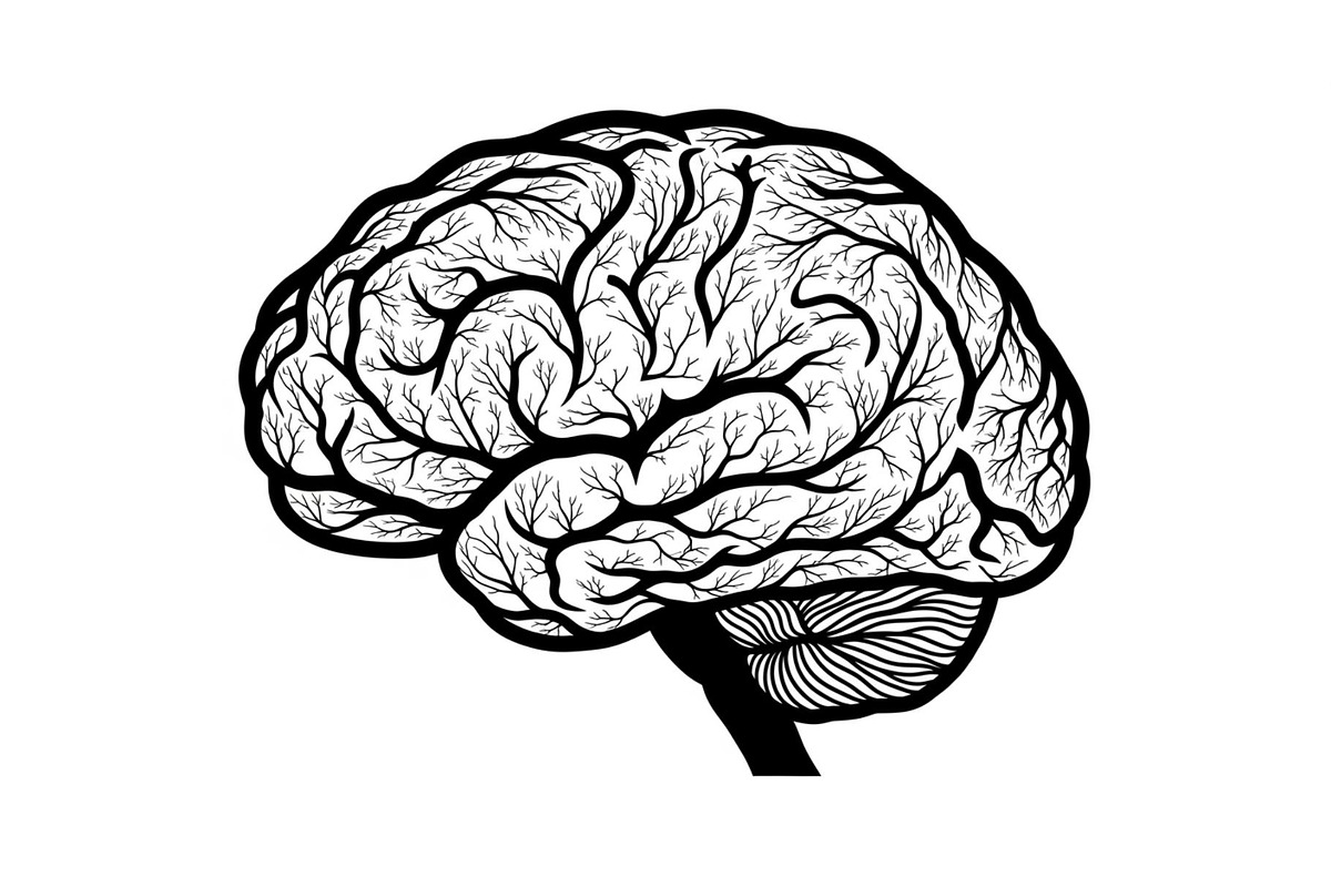 Brain Tree Knowledge Design Bundle, an Illustration by Gaye Art (Photo 28 of 31)