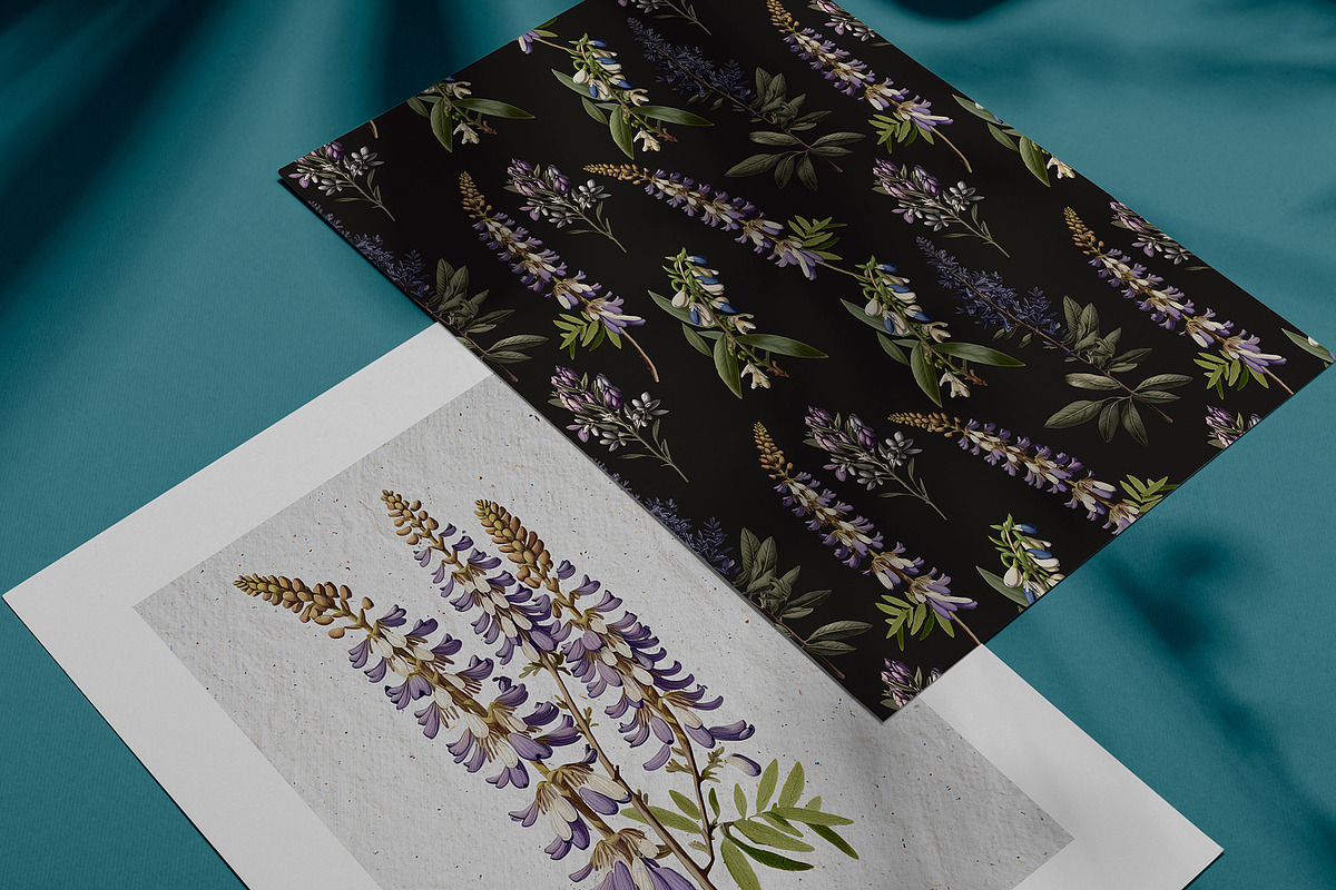 Lupine. Vintage botanical atlas, a Pattern Graphic by Antikva17 (Photo 9 of 12)