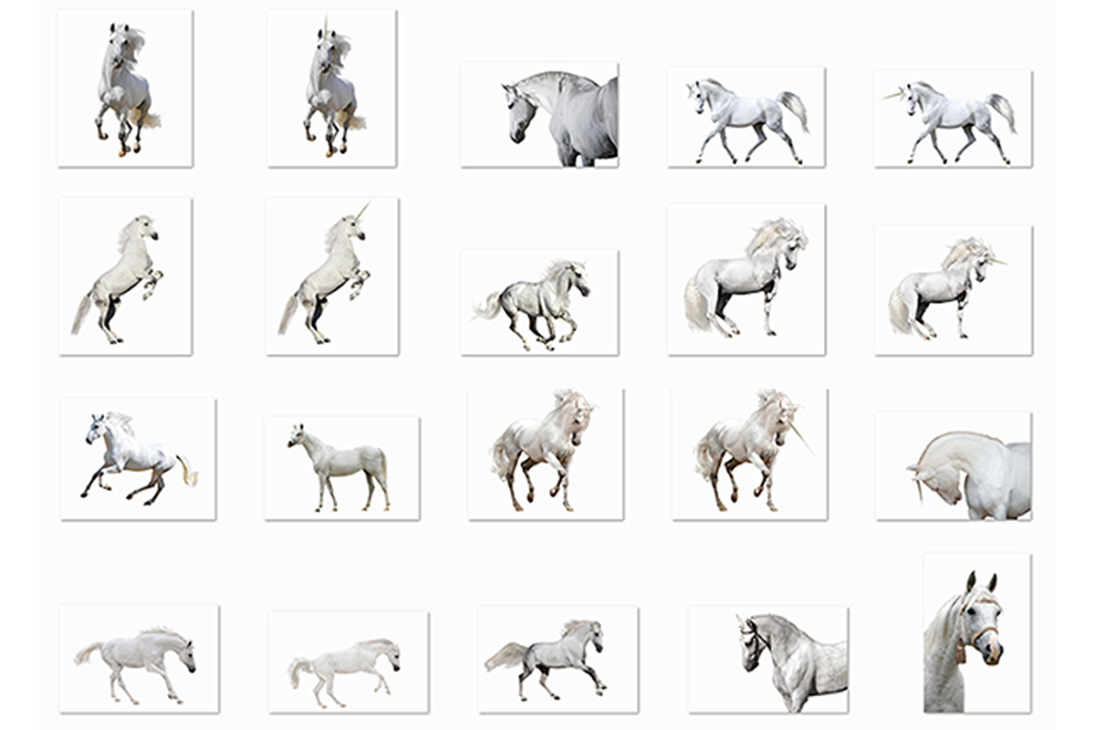 Unicorn Overlay, an Object Graphic by VligCreativeStudio (Photo 4 of 4)
