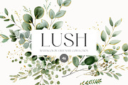 LUSH - Eucalyptus and Gold, a Decorative Illustration by Isabelle Salem (Thumbnail 1 of 7)