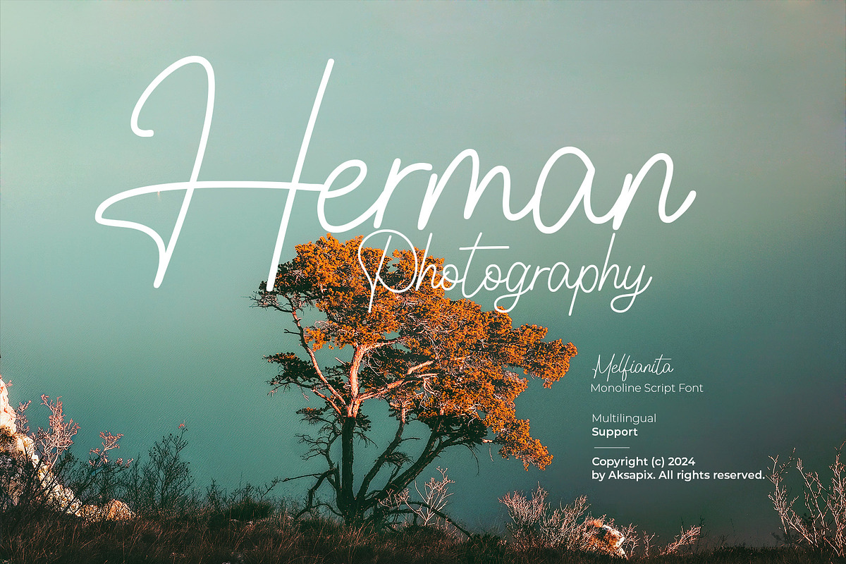 Melfianita - Monoline Script Font, a Script Font by Aksapix Studio (Photo 10 of 10)