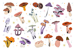 Set of mushroom or toadstool species, an Object Illustration by Elegant Solution