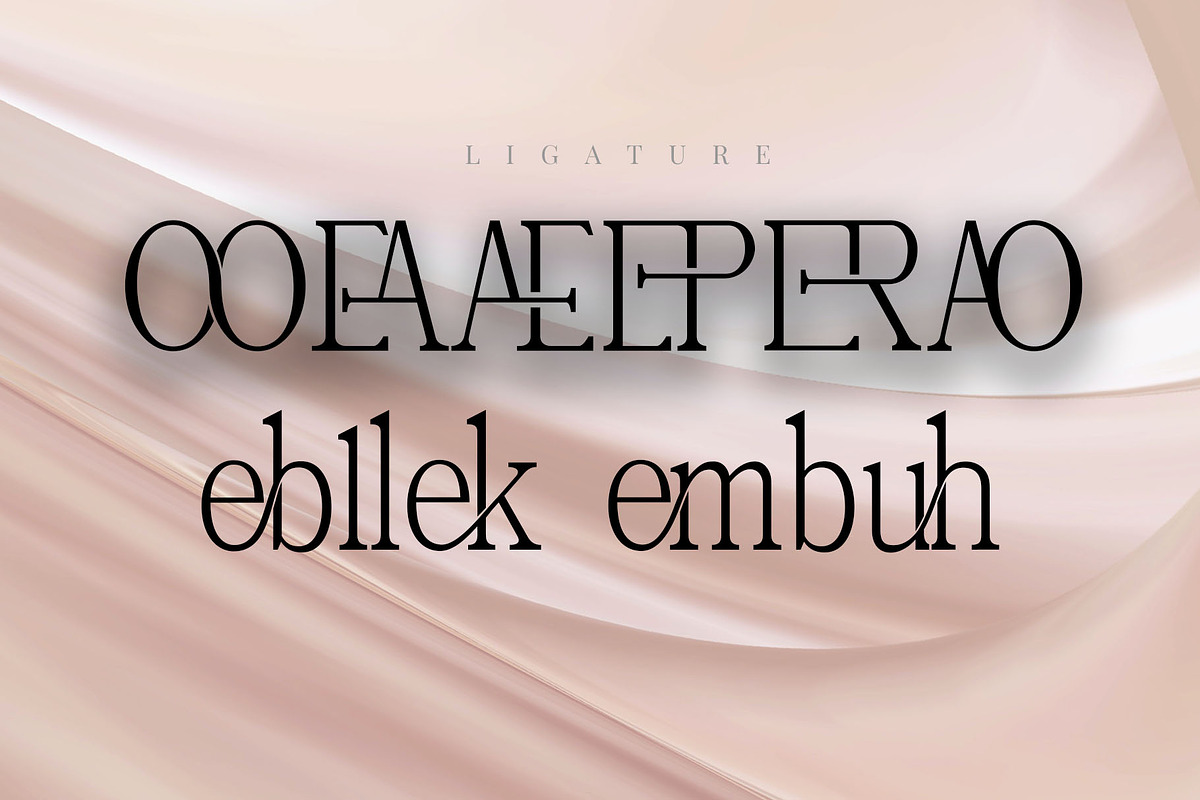 Nebos - Elegant Serif Typeface, a Serif Font by Font Kingdom (Photo 7 of 9)