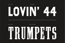Wood Type Bundle