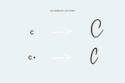 BetterFly - for Canva & Templett, a Script Font by Blessed Print (Thumbnail 38 of 46)
