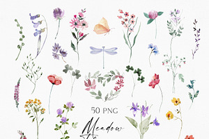 Watercolor Modern Meadow Flowers