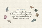 COASTAL NOTES | Typewriter Font, a Handwritten Font by type peace (Thumbnail 8 of 10)