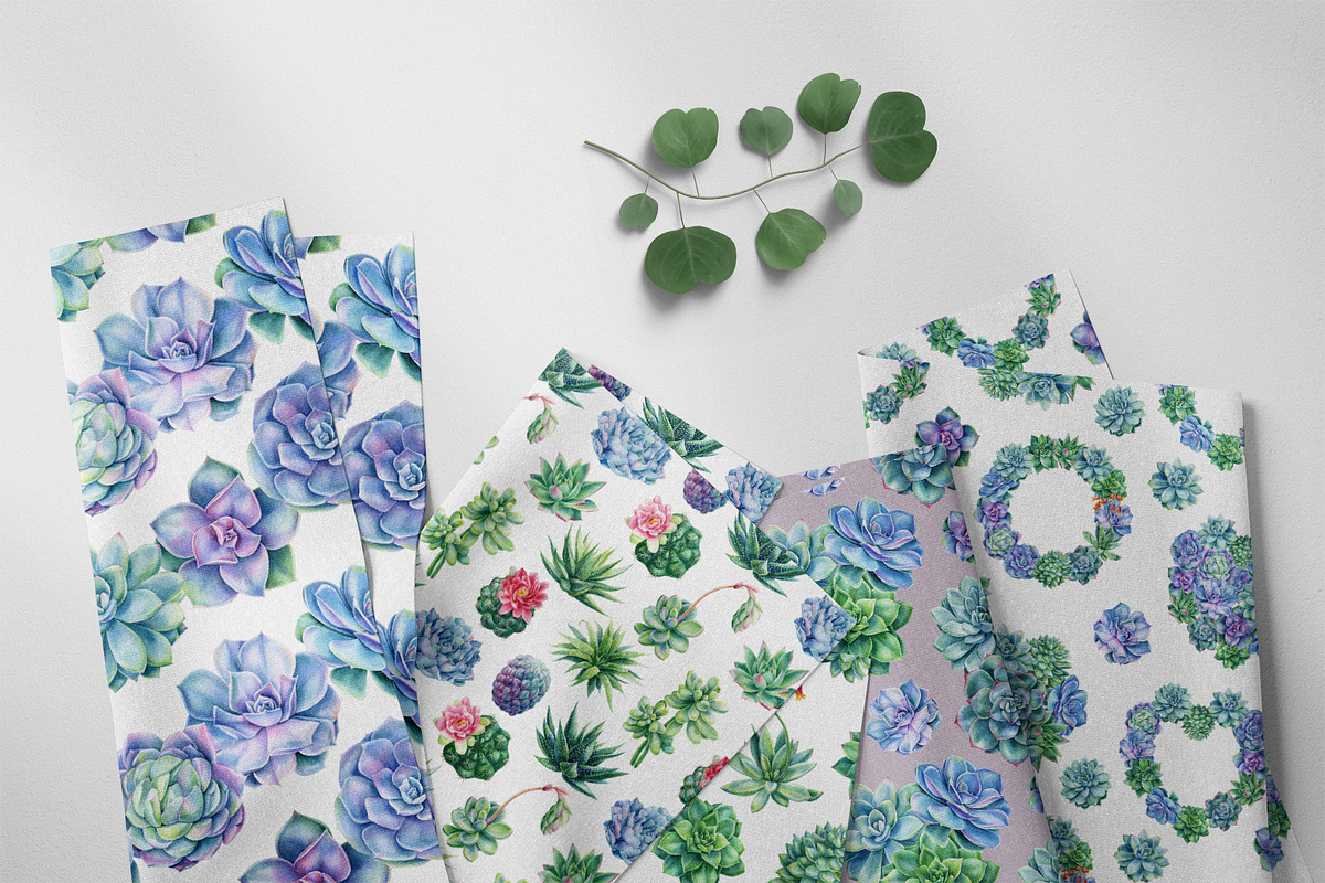 Succulents Botanical Watercolor, a Background Graphic by Hanna Hryharenka (Photo 13 of 15)