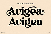 Avigea Modern Serif Font Display, a Script Font by Storytype Studio (Thumbnail 3 of 10)