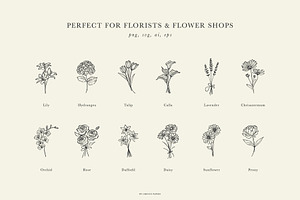 FLORIST'S Line Art Illustrations