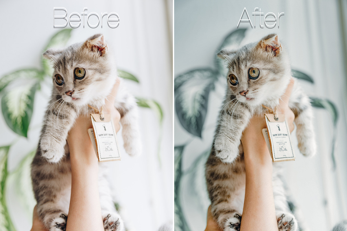 Mobile Lightroom Presets, an Action Add-On by The Red Pine (Photo 2 of 5)