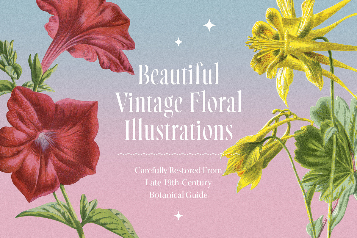 Atlas of Flowers - Botanical Art Set, an Object Graphic by Graphic Goods (Photo 2 of 12)