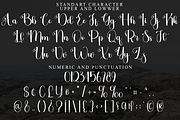 Brandenly, a Handwritten Font by FreshTypeINK (Thumbnail 5 of 8)