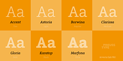 Arventa Slab Pro, a Slab Serif Font by preussTYPE (Thumbnail 9 of 10)