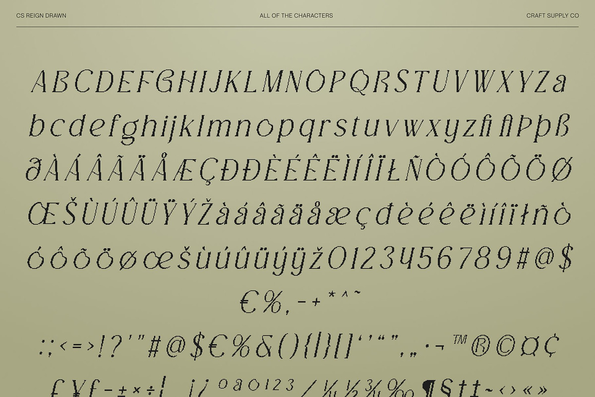 CS Giova Pixel, a Serif Font by Craft Supply Co. (Photo 8 of 8)