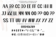 Happy Monday, a Script Font by InermediaSTUDIO (Thumbnail 9 of 9)