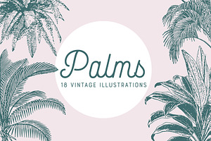 PALMS 18 Vintage Vectors