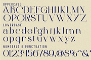 Relentless Changing - Luxury Font, a Serif Font by 177Studio (Thumbnail 7 of 8)