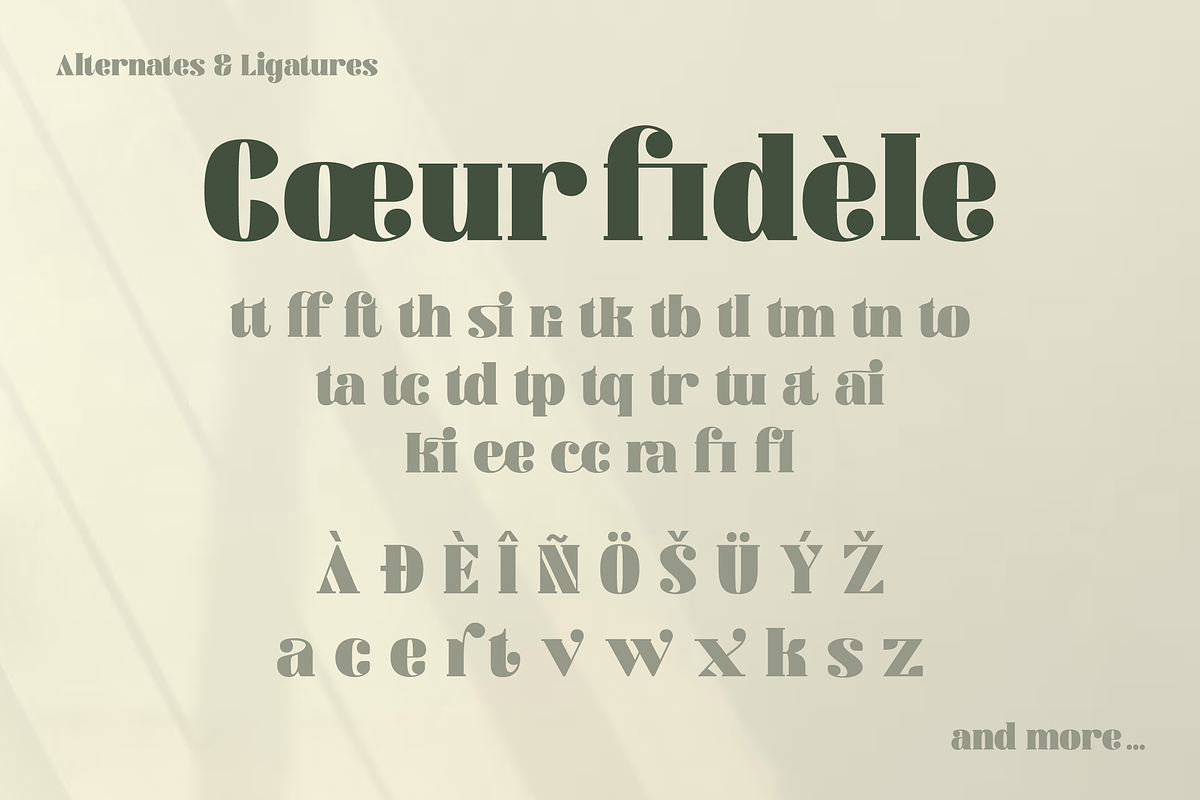 Agaitha | Modern and Elegant Serif, a Serif Font by Graphue (Photo 3 of 9)