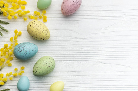 Colorful easter eggs  and mimosa flowers on wooden table., a Holiday Photo by Olena Rudo
