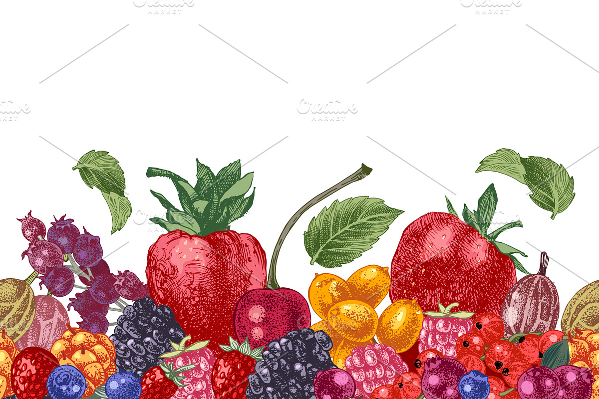 Fresh berries, a Food Illustration by handsketched (Photo 14 of 21)