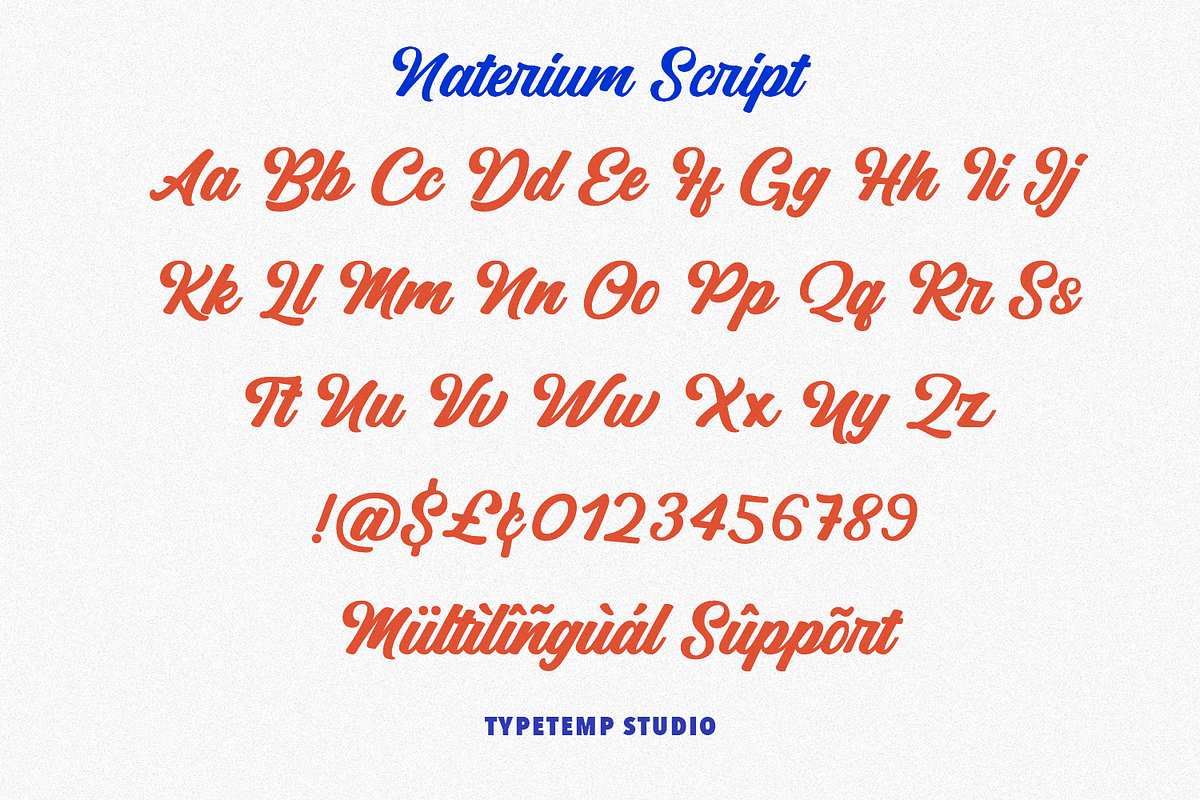 Naterium Retro-Modern Script Font, a Script Font by Typetemp Studio (Photo 15 of 16)