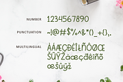 Emely Brown | Handwritten Font, a Script Font by Suntype | Sunshine Std (Thumbnail 2 of 7)