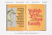 Raiken - Serif font family, a Serif Font by Artistic & Unique (Thumbnail 9 of 14)