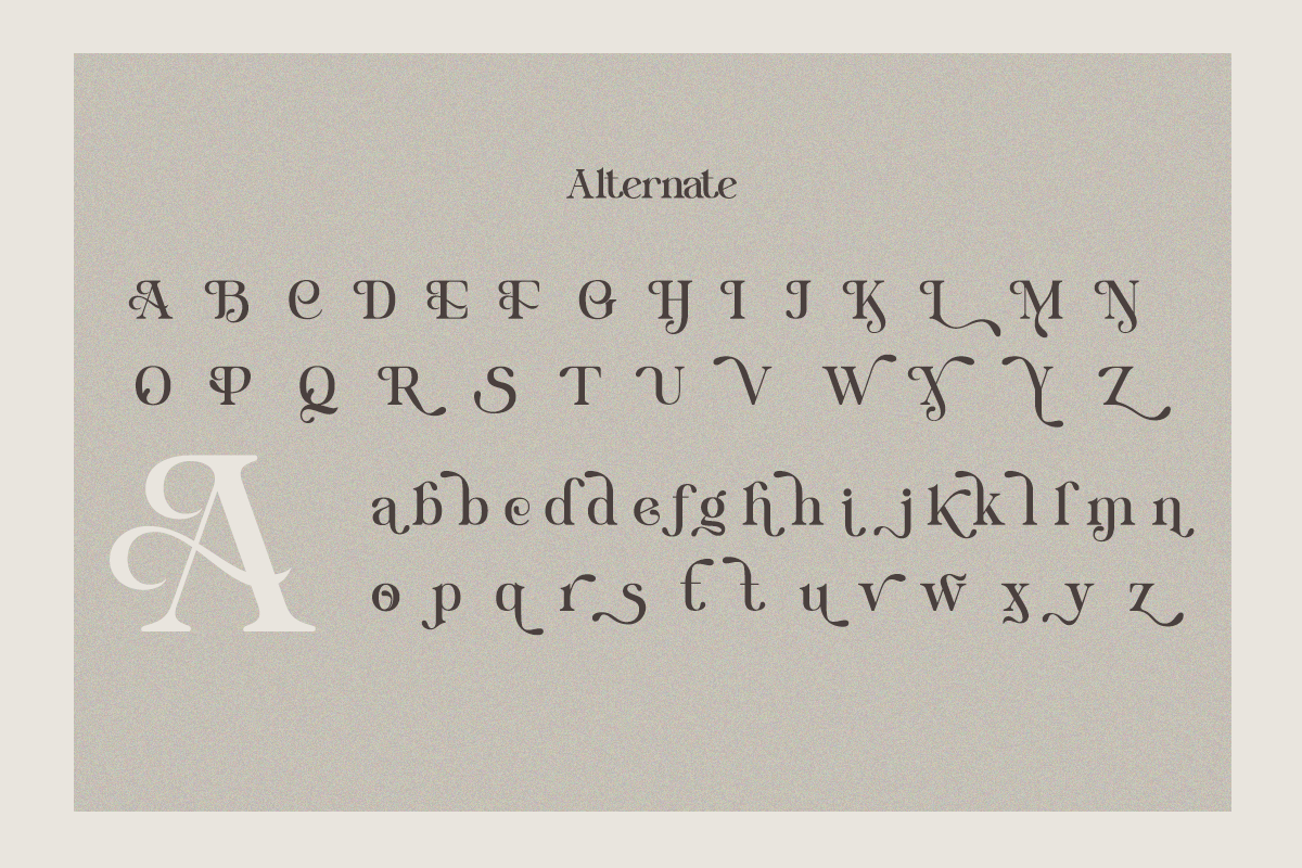 Quirky - Modern Stylish Elegant, a Serif Font by Qweera Studio (Photo 9 of 10)