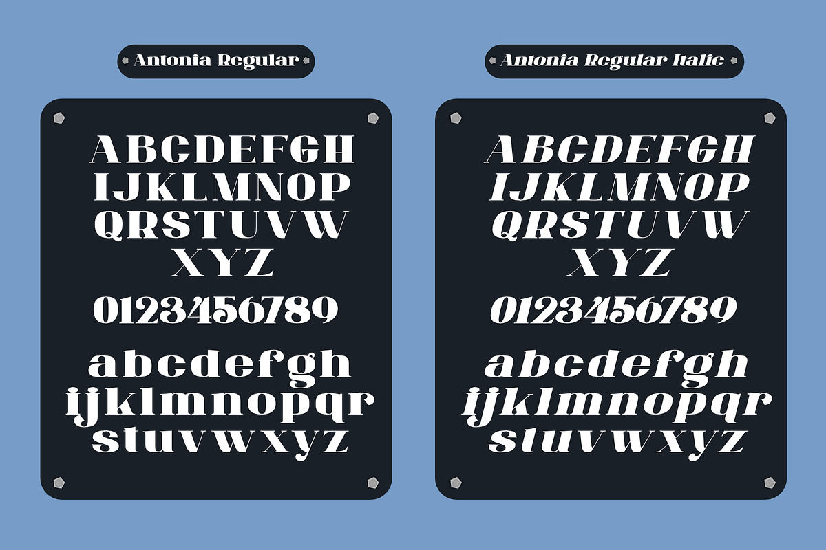ANTONIA - The Classino Serif preview 8